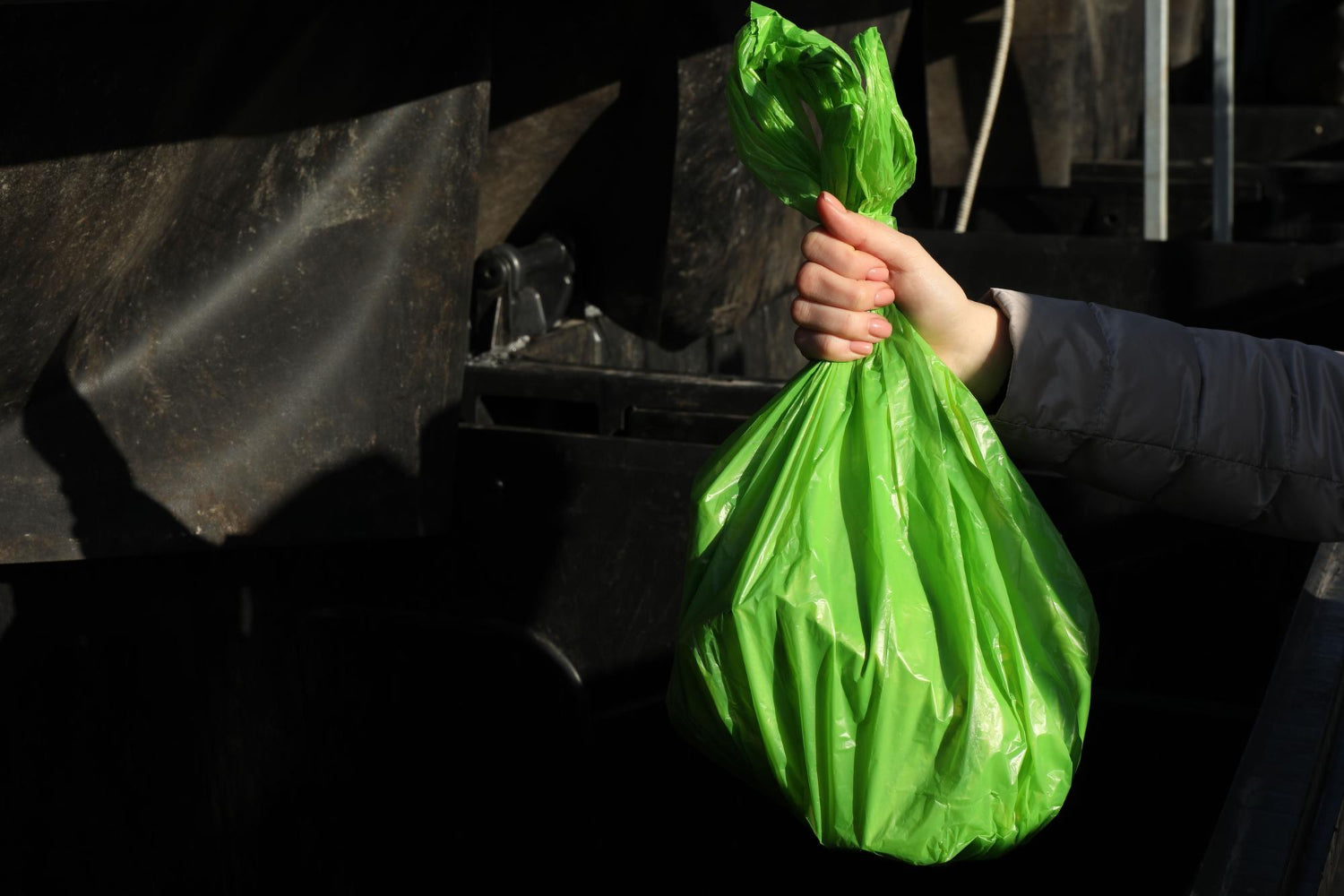 Compostable garbage bags for renters, eco-friendly cleaning tips for apartments and rentals