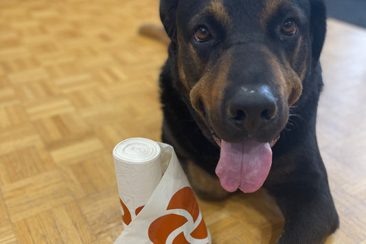 Pet waste management with Plastno compostable trash bags