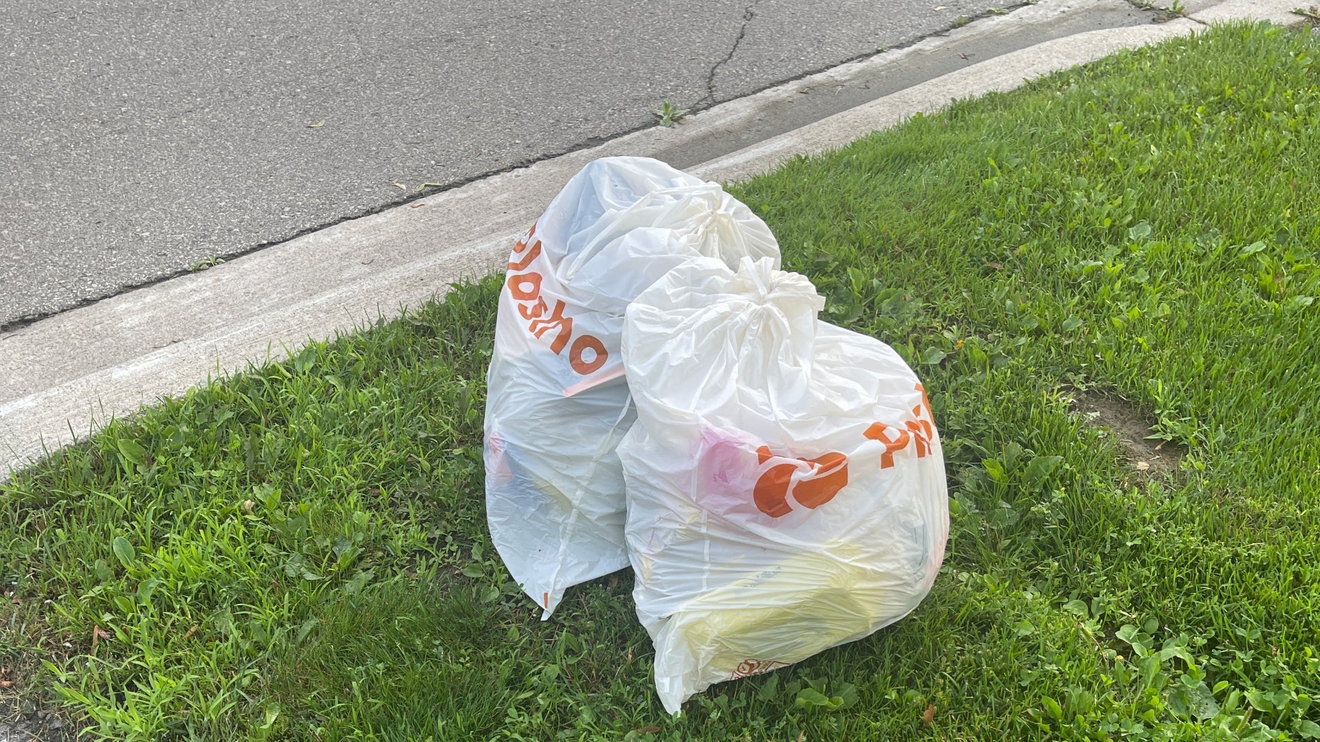 Plastno biodegradable garbage bags at the curb, exploring the ingredients of biodegradable garbage bags