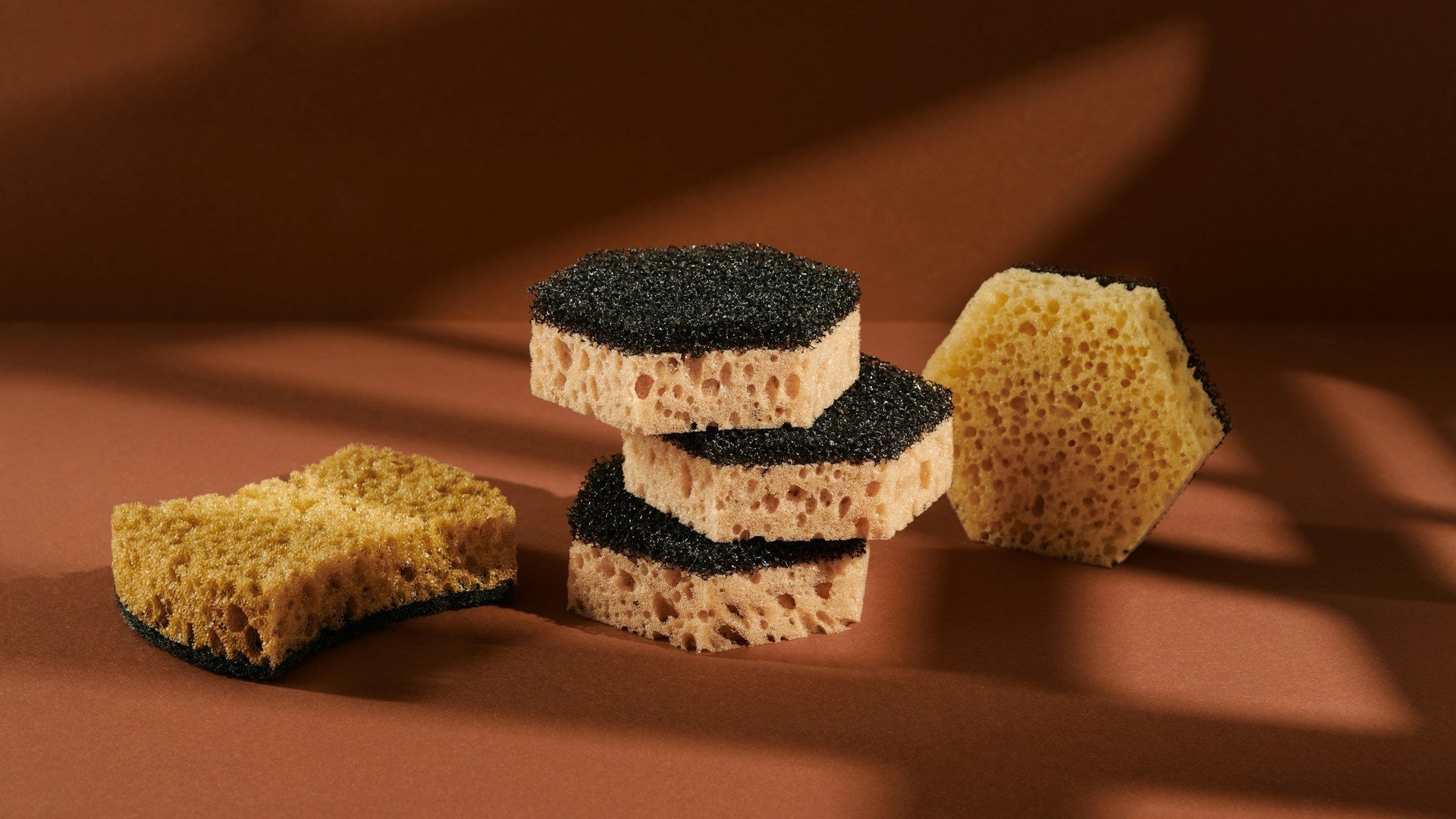 Plant-based sponges on a kitchen counter, showing how to use and when to replace biodegradable sponges