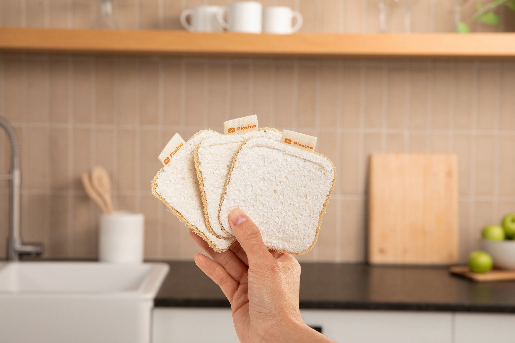 Plastno Holding Celulose Sponges