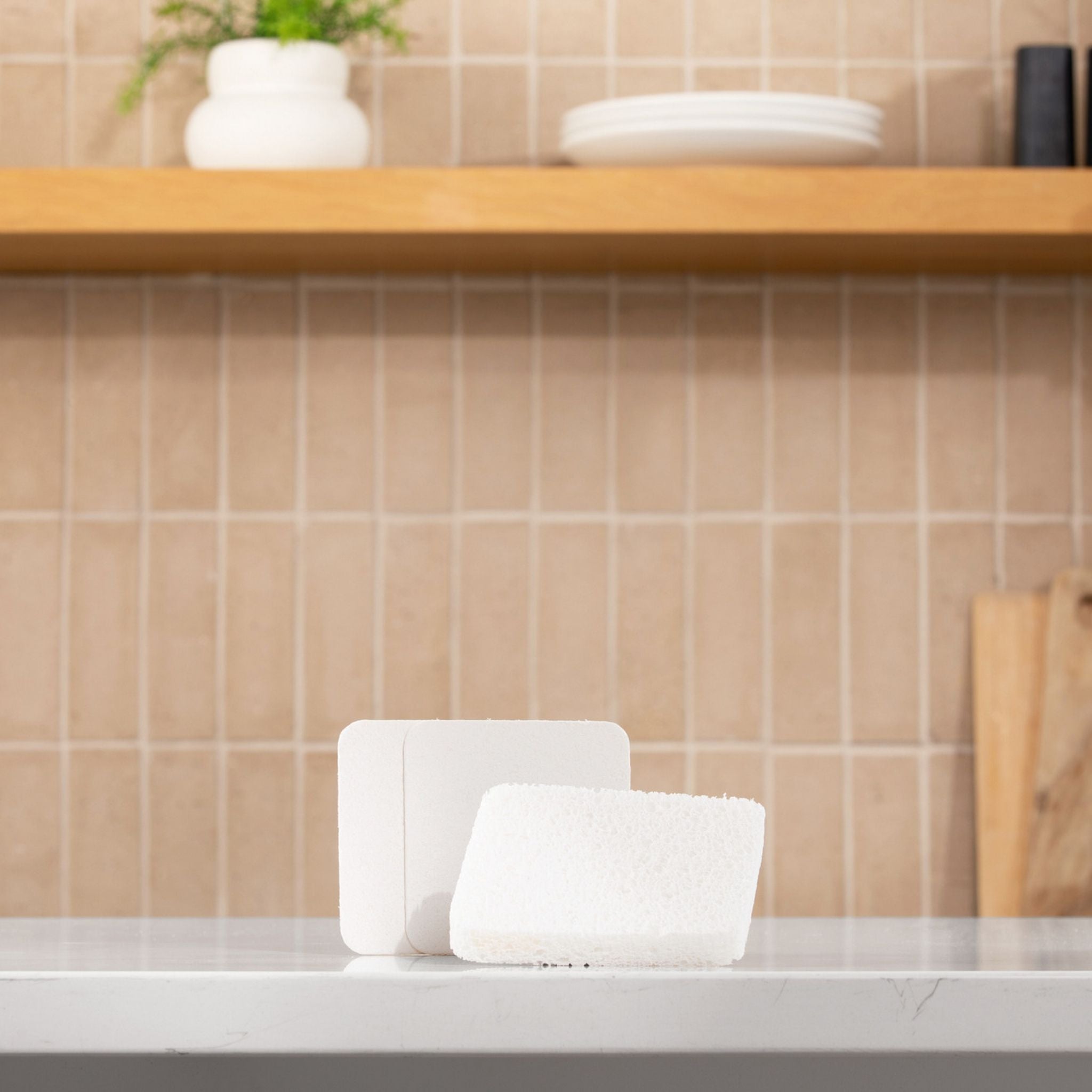 Plastno Soak Sponge
