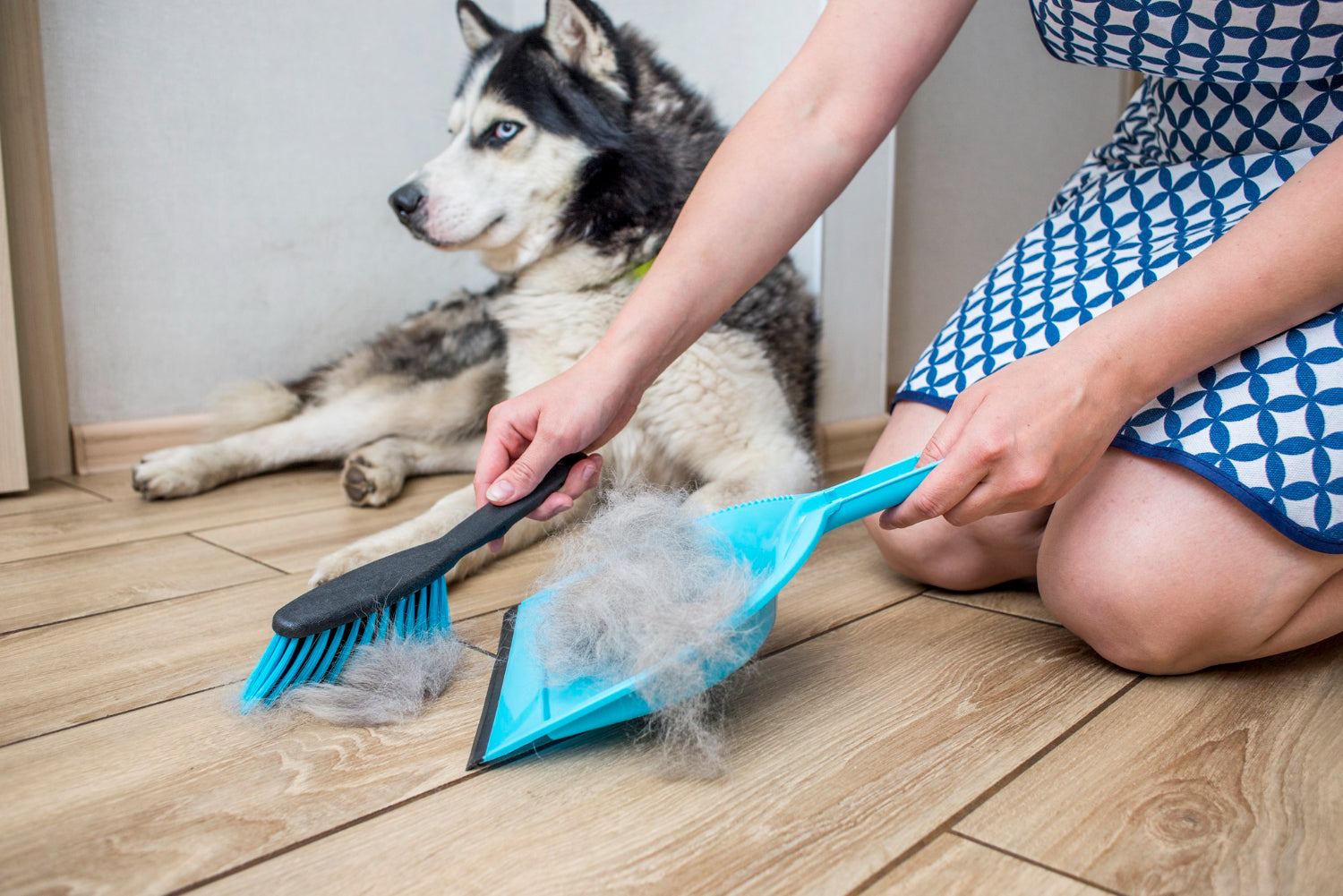 pet-friendly cleaning