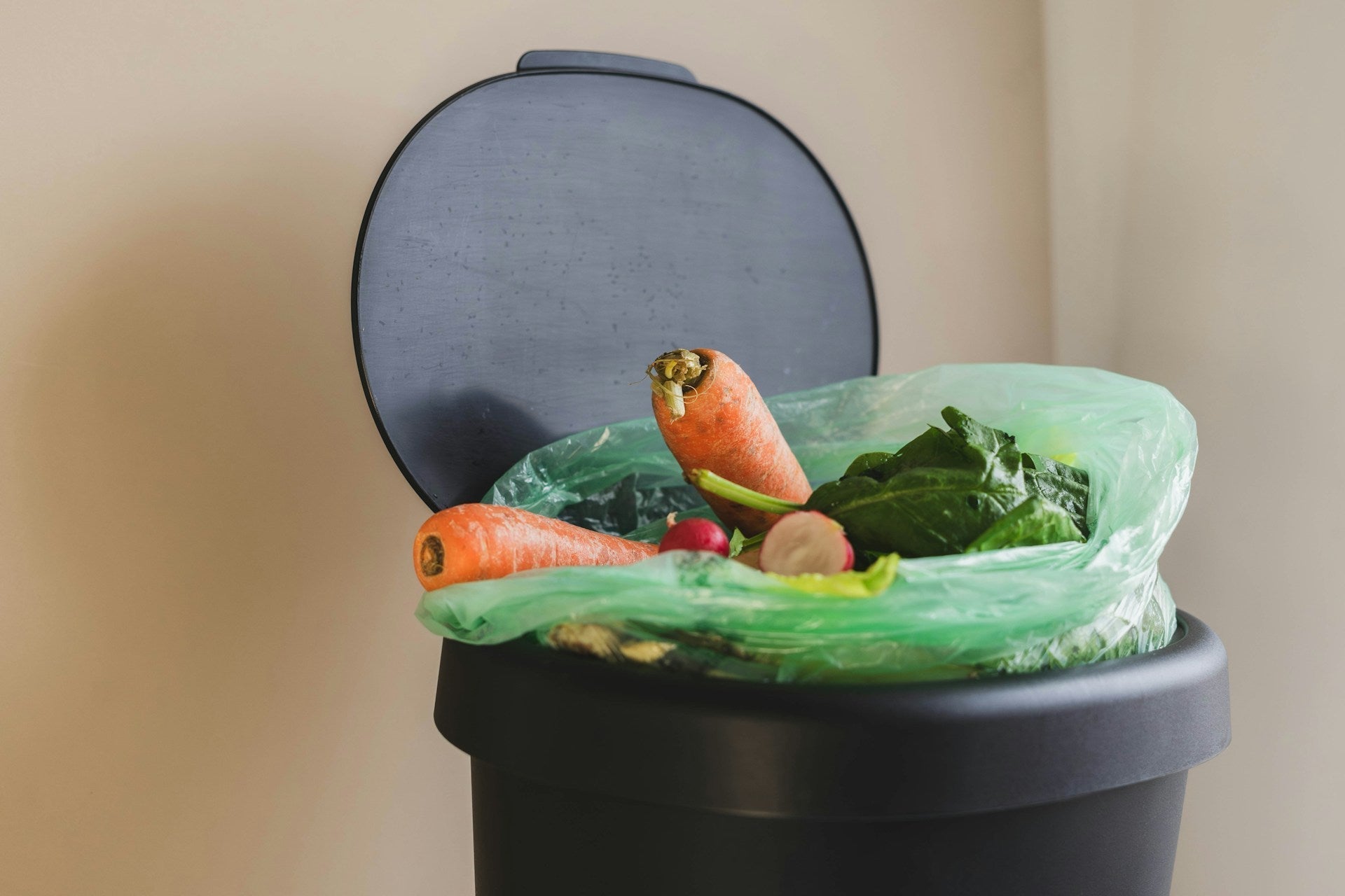 Compostable Bags