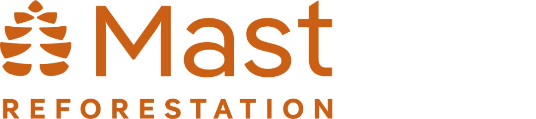 Plastno partnering with Mass Reforestation