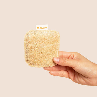 Plastno Scrub Sponge