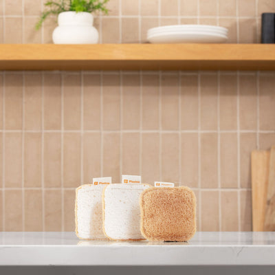 Plastno Scrub Sponge