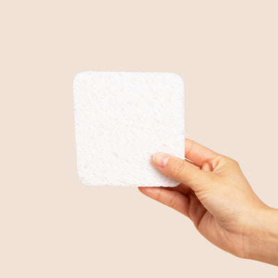 Plastno Soak Sponge