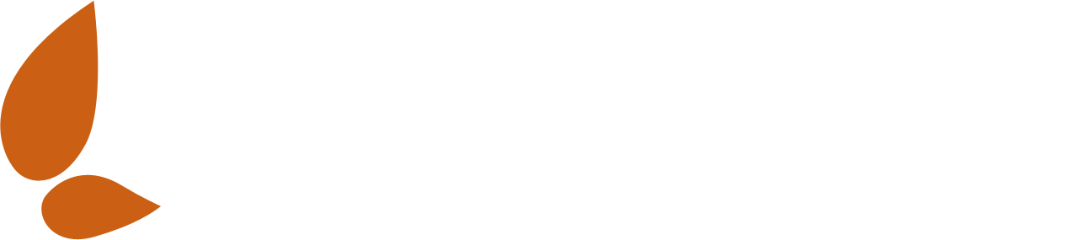 PrettyOrganicGirl Featuring Plastno Zero Waste Cleaning Products