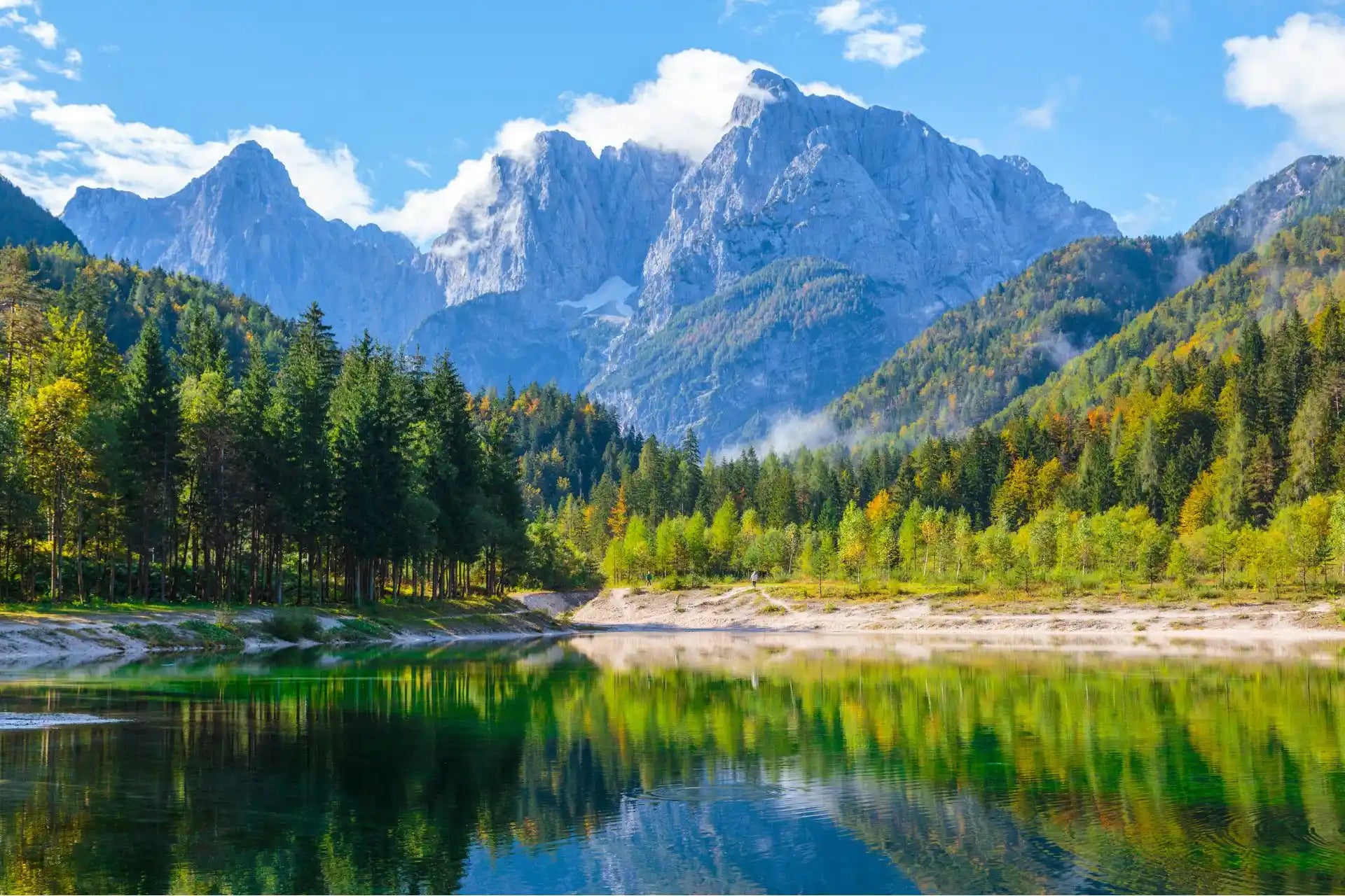 Mountain landscape with a lake and forest